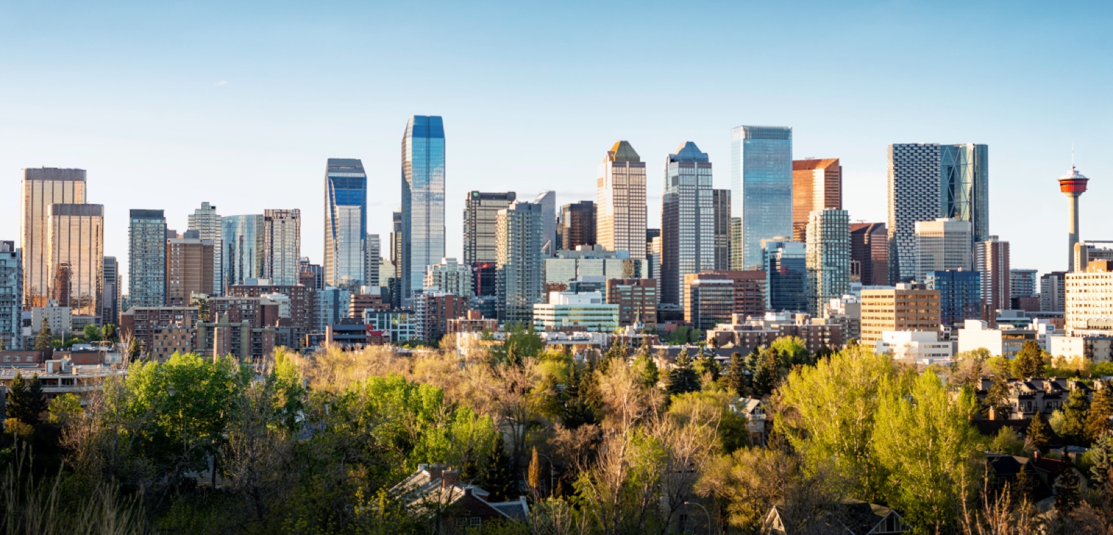 skyline to composite
